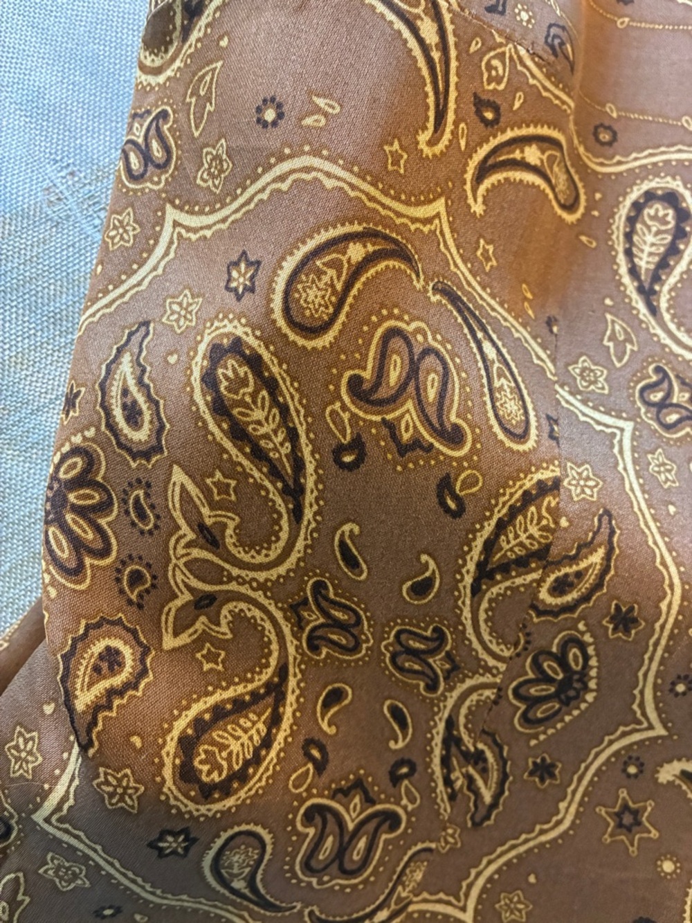 Never Fully Dressed Brown Paisley Long Sleeve Dress - Picture 8 of 16